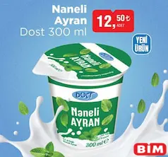 DOST NANELİ AYRAN 300 ML